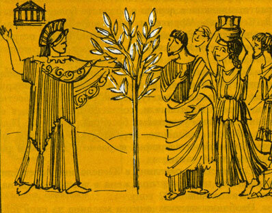 Источник фото: http://dendrology.ru/books/item/f00/s00/z0000006/st025.shtml