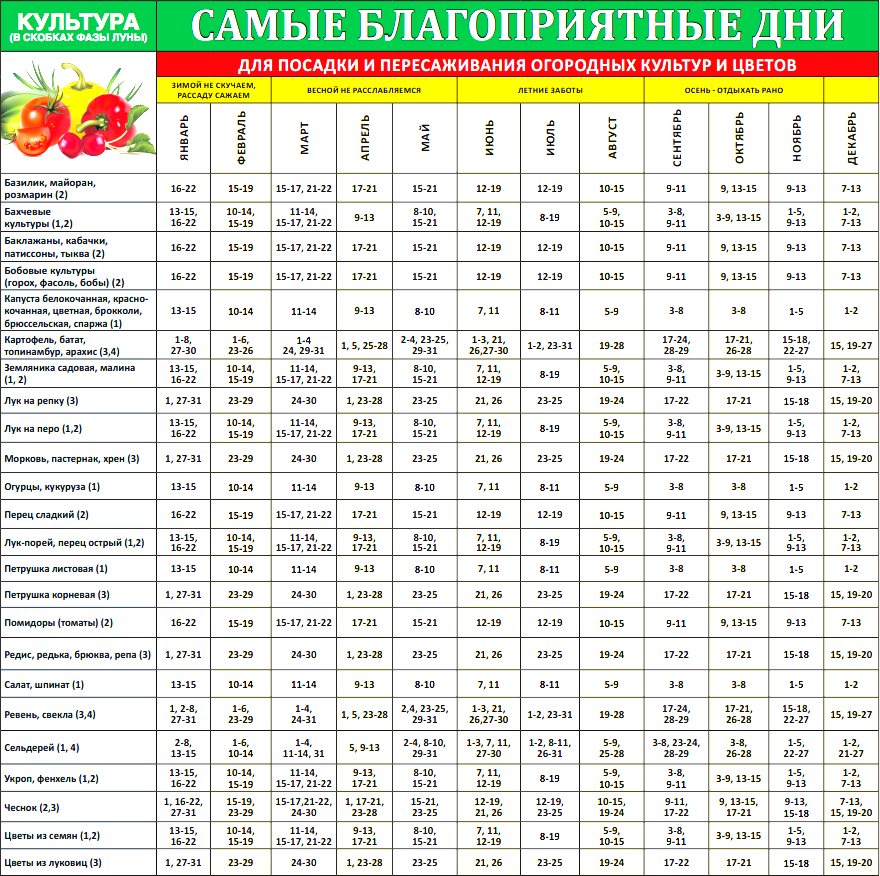 Посадочные дни в башкирии. Лунный календарь посадки овощей на 2025 год. таблица высадки семян на рассаду по месяцам и числам. благоприятные дни для поса. посевнойвной календарь.