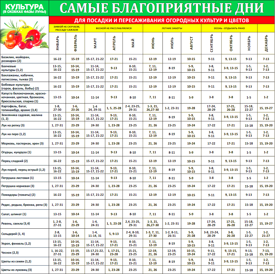 В какую фазу луны лучше сажать. Лунный календарь посадки овощей на 2022 год. Таблица высадки семян на рассаду по месяцам и числам. Благоприятные дни для поса. Посевнойвной календарь.