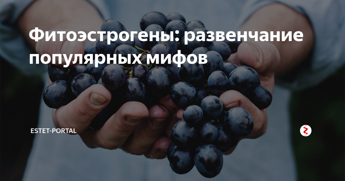 Фитоэстрогены: развенчание популярных мифов | ESTET-PORTAL | Дзен