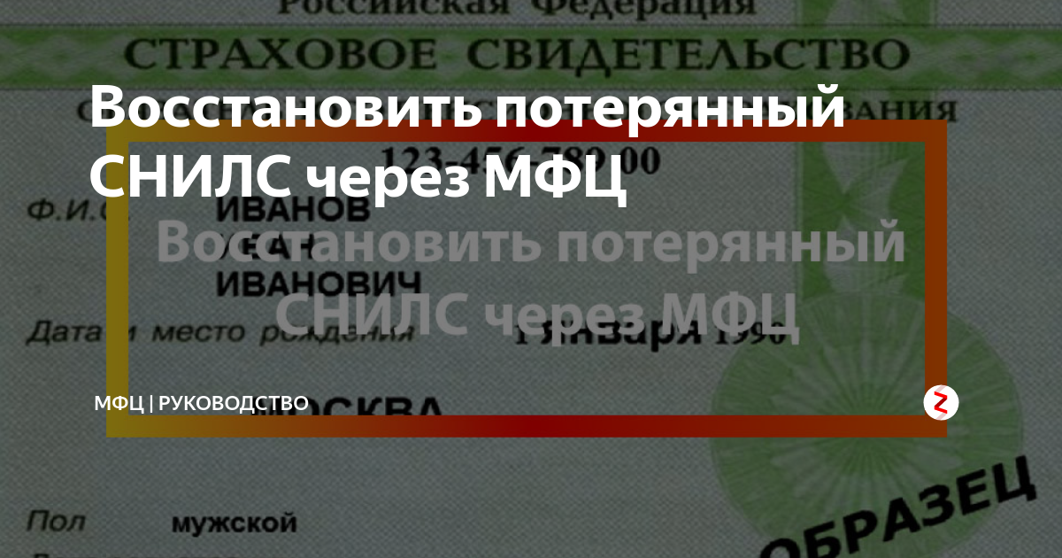 Получить снилс в мфц. СНИЛС через МФЦ. Страховое свидетельство при утере. Восстановление СНИЛС. Как восстановить страховое свидетельство при утере.