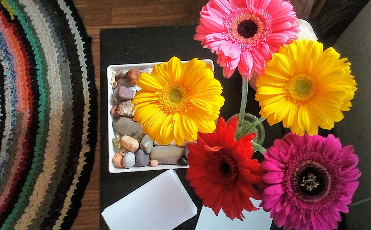  Немного гармонии, исходящей из фото  Ларисы Трапезниковой:)