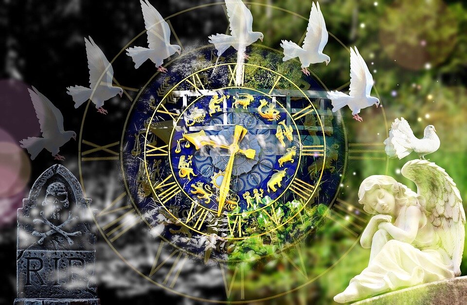 Источник фото: pixabay, suju