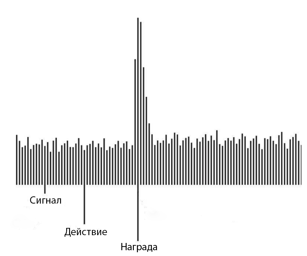 Сигнал - это наш ритуал, Действие - это упражнения в зале, Награда - похвала.