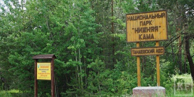 «Сначала я окончил Лубянский лесхоз -техникум, а затем продолжил обучение в институте, где судьба столкнула меня с одним преподавателем, который рассказывал нам о национальных парках. После окончания института я устроился в один из этих парков — в «Нижнюю Каму». Фото kazanfirst.ru