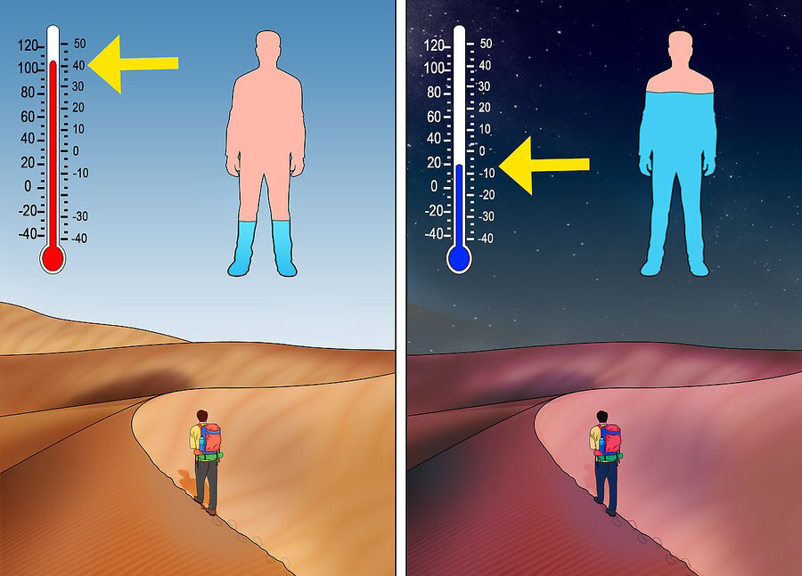 Иллюстрация взята с сайта ru.wikihow.com