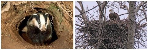 А чем закончилась сказка и почему? 