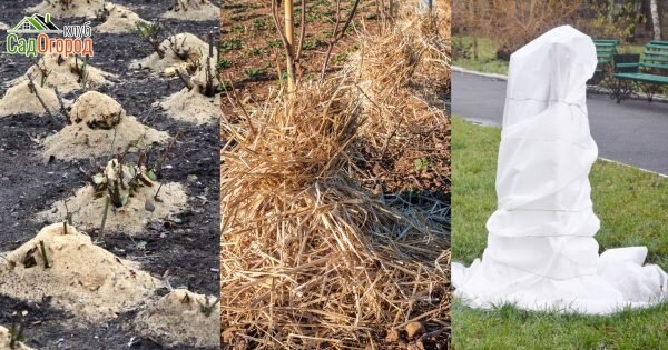 Источник фото: ru.depositphotos.com