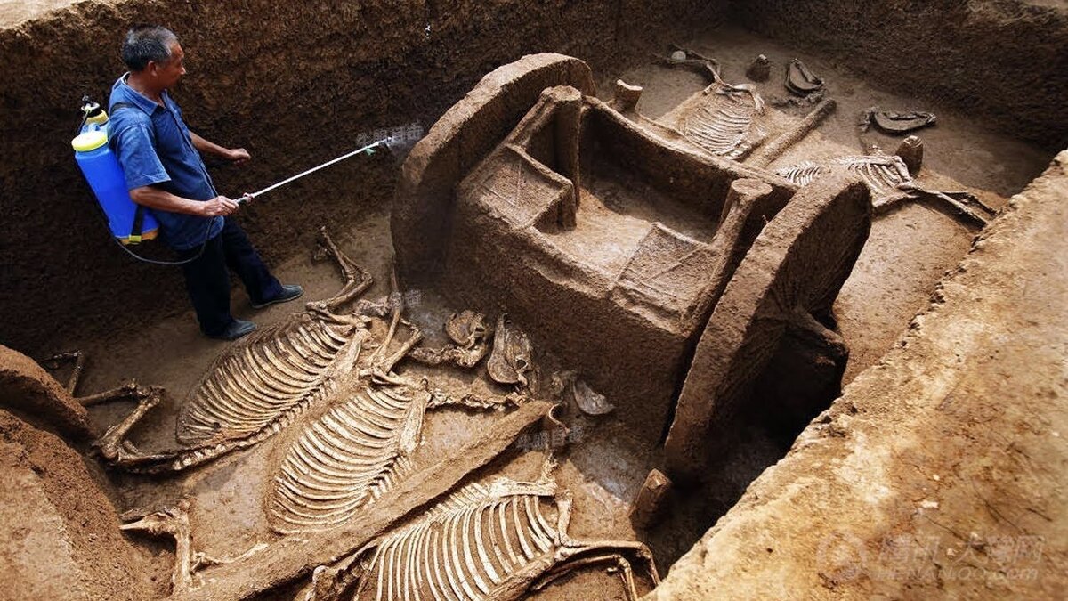 Фото из открытого источника.