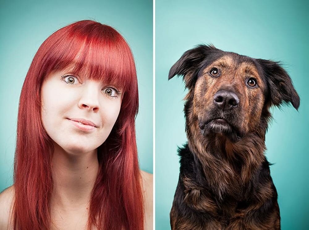 Собаки похожи на своих хозяев. Собаки похожи на хозяев. Люди похожие на своих питомцев. Люди похожие на своих собак. Эмоции людей и собак.