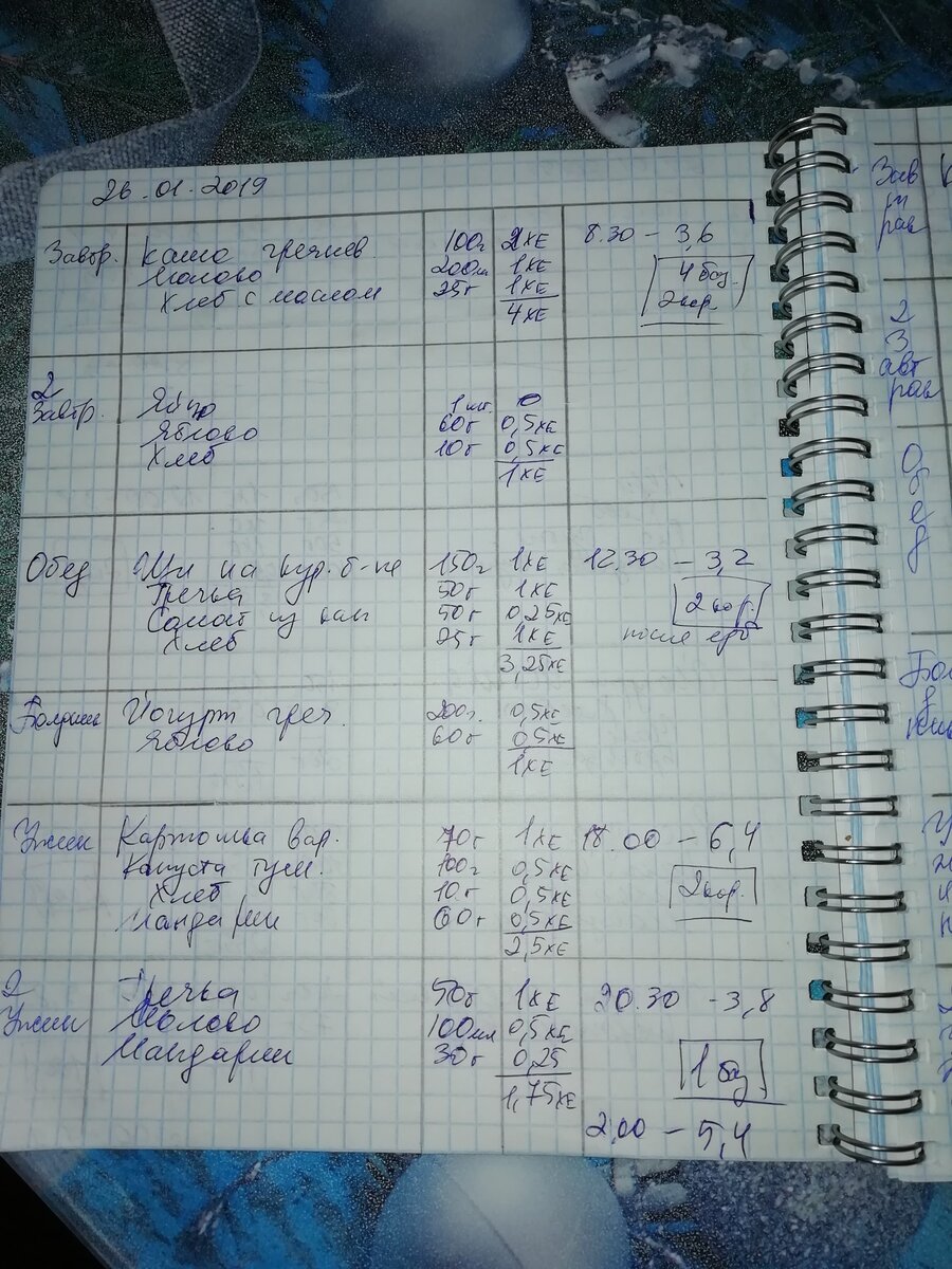 Наш дневник самоконтроля. Мне удобно в таком виде.