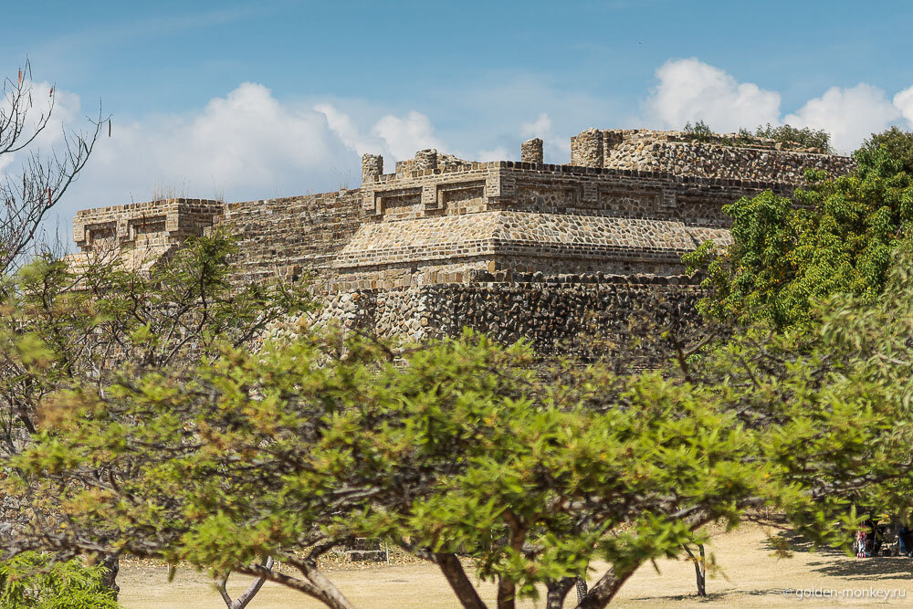 Фото Golden-Monkey.ru