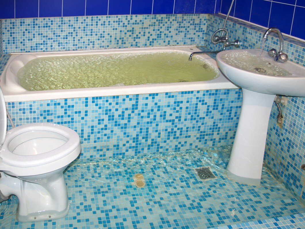 Источник фото: ecsgulfsouth.com