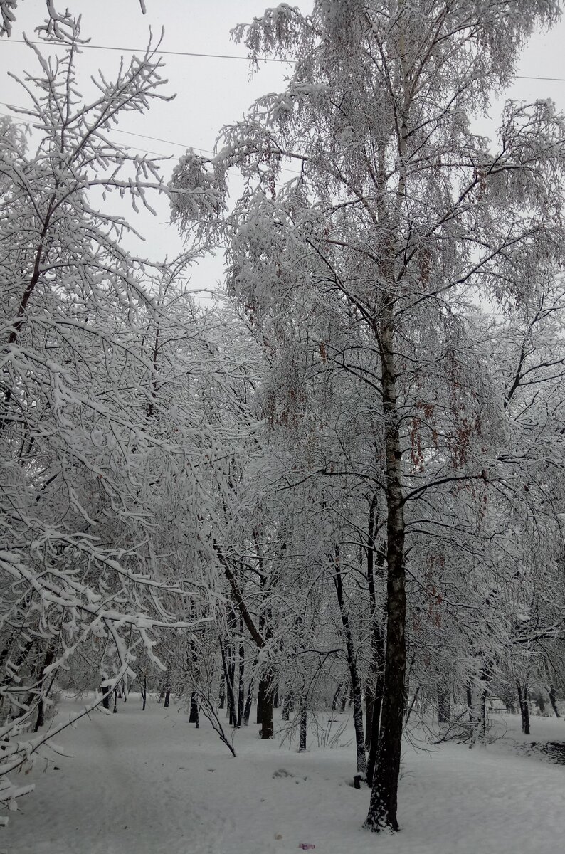 Погода 4 марта в Москве