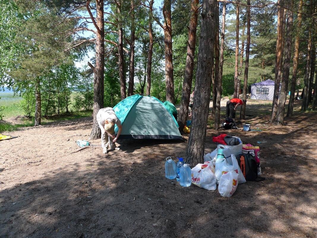 Введите описание картинки