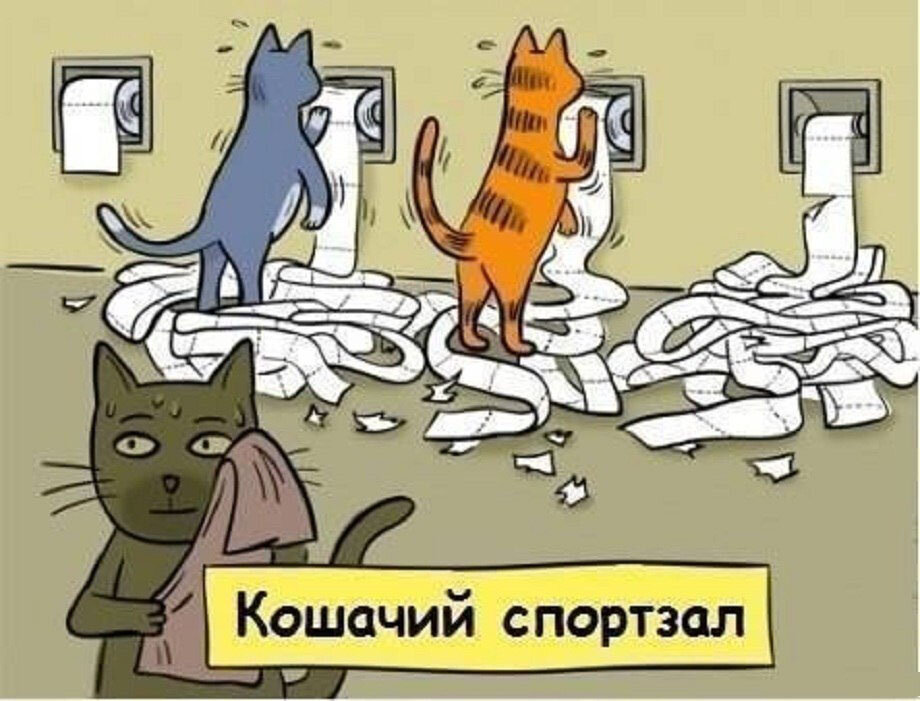 Юмор с котами картинки