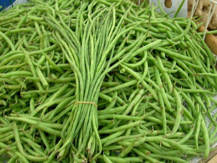 
Фото: стручки вигны