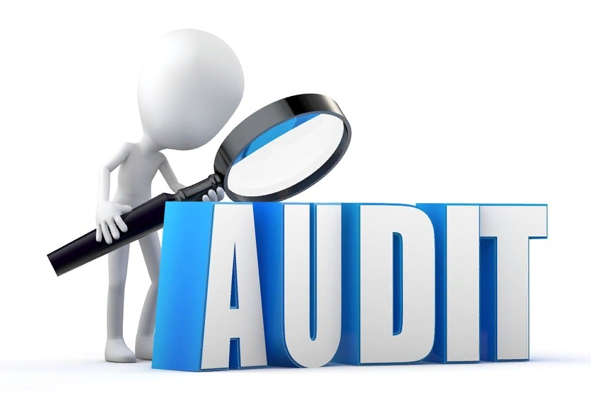 Audit gov