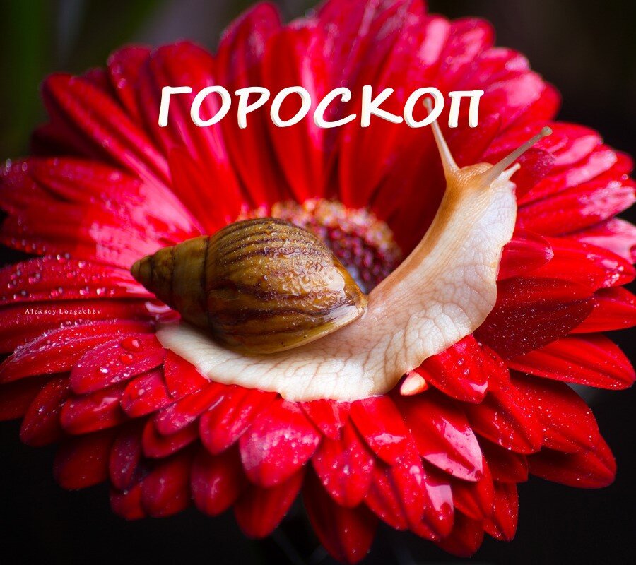 Источник фото: https://www.goodfon.ru/