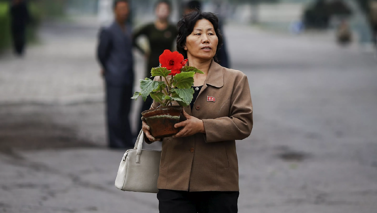 Северная корея как живут простые люди фото