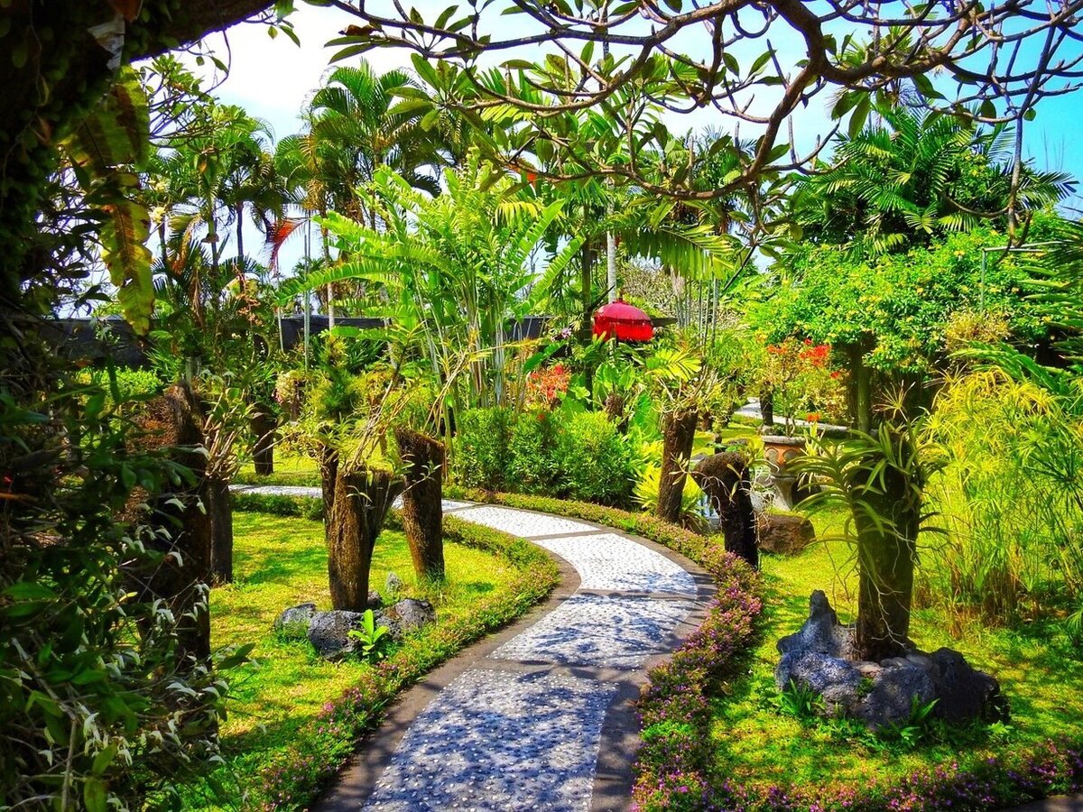 Парк орхидей Бали