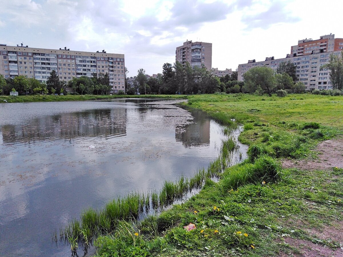 пруды в санкт петербурге