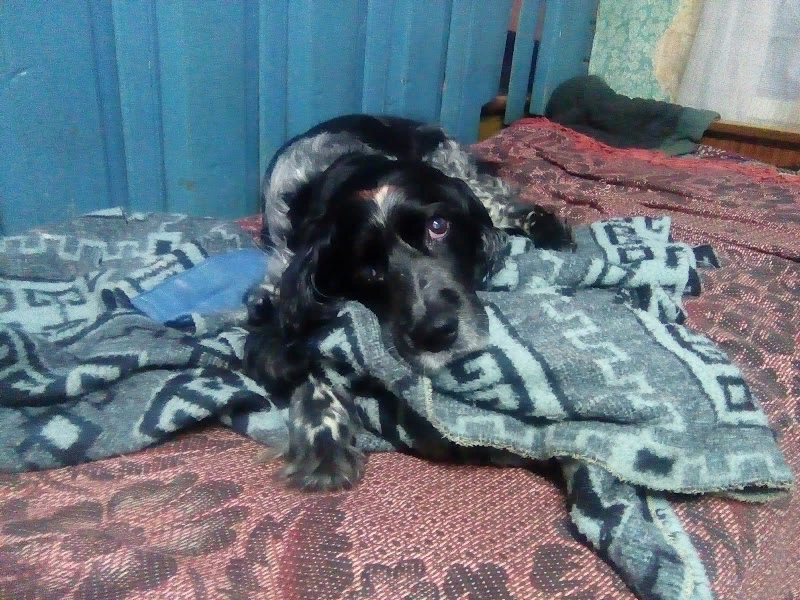 Фото из личного архива