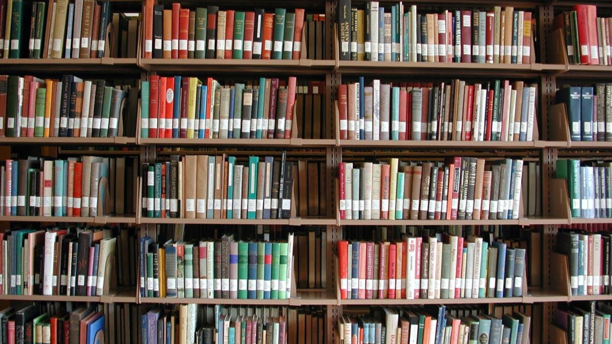 Книги на книжной полке библиотеки колледжа. (Подставка / Getty Images)