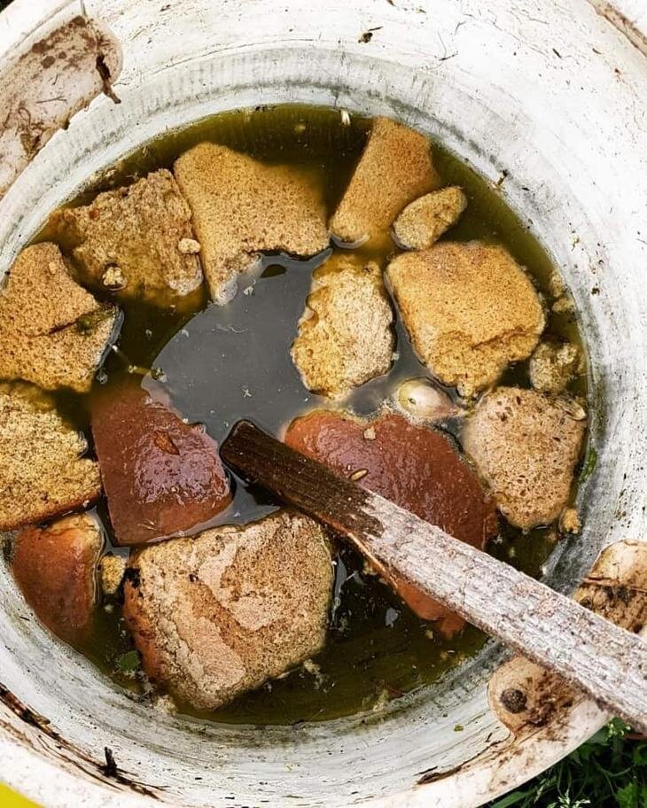 Хлебная закваска
