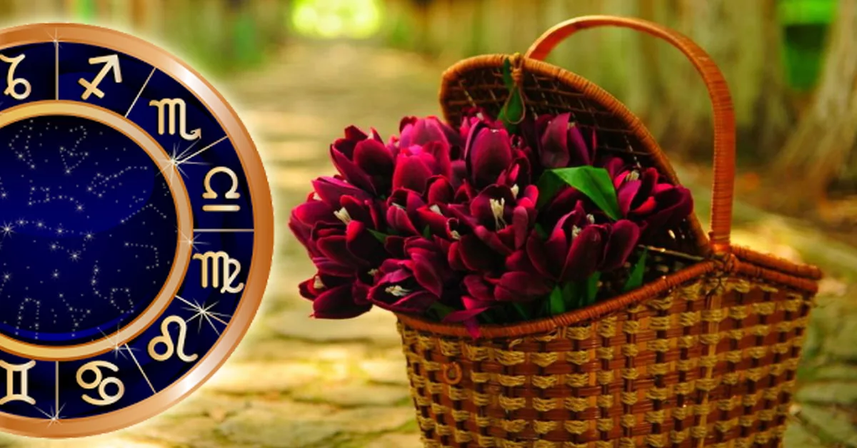 Иллюстрация из сети интернет