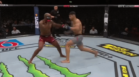 UFC Fight Night 153. 