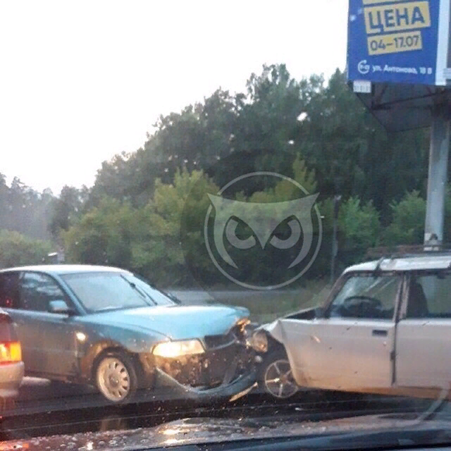 Источник фото: vk.com/sova_penza