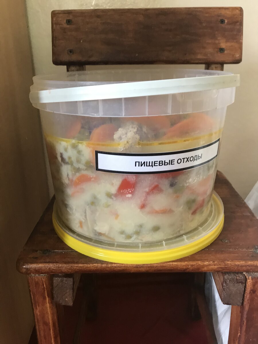 С обеда остается примерно столько. Это только то, что из тарелок поскидывали, недоеденное. А ещё чаще всего остаётся в кастрюлях, во всех, и первое, и второе, и салат.  