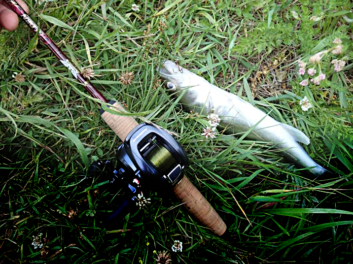 Фото пользователя сайта FishingSib.ru OrdA (https://www.fishingsib.ru/gallery/view/58980/) 