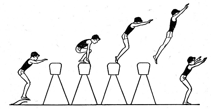 Опорный прыжок в гимнастике. Опорный прыжок согнув ноги. Опорный прыжок вскок в упор присев. Техника опорного прыжка согнув ноги. Опорный прыжок в гимнастике техника выполнения.