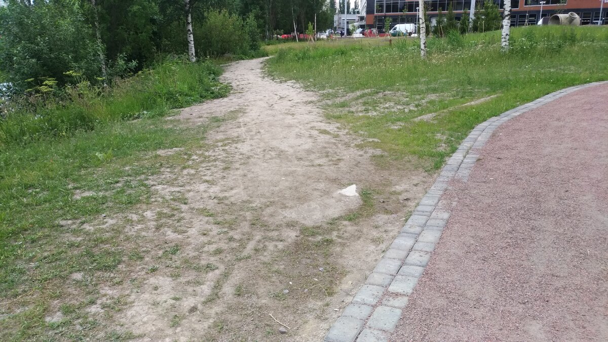 Здесь явно проходит много людей, можно же было это учесть и проложить нормальную дорожку