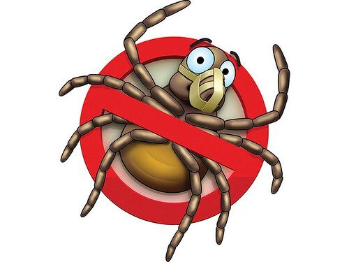 Источник Яндекс картинки