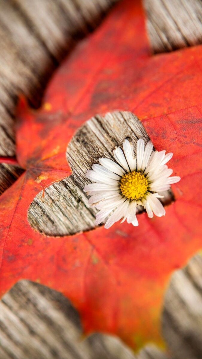 Фото взято из открытых источников