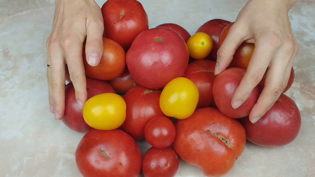 Самая простая заготовка помидоров на зиму