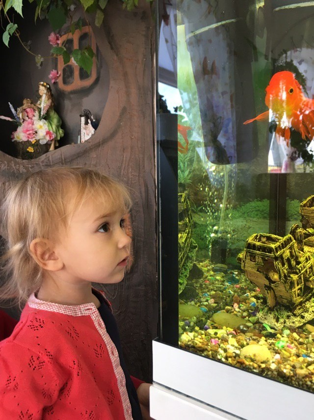 Младшая дочка в ожидании приёма, долго зависала возле рыбок