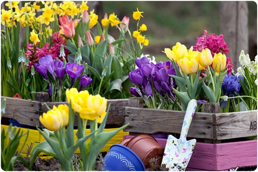 фото из свободного доступа в интернете