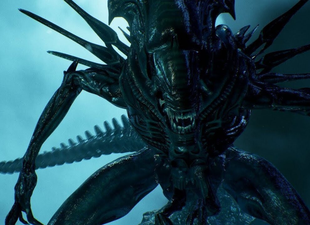 Изображение взято из яндекс картинок.