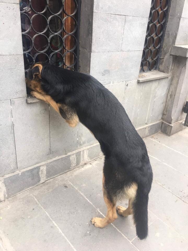 Чёрный друг тебя заметит везде! Даже в полумраке кафе...