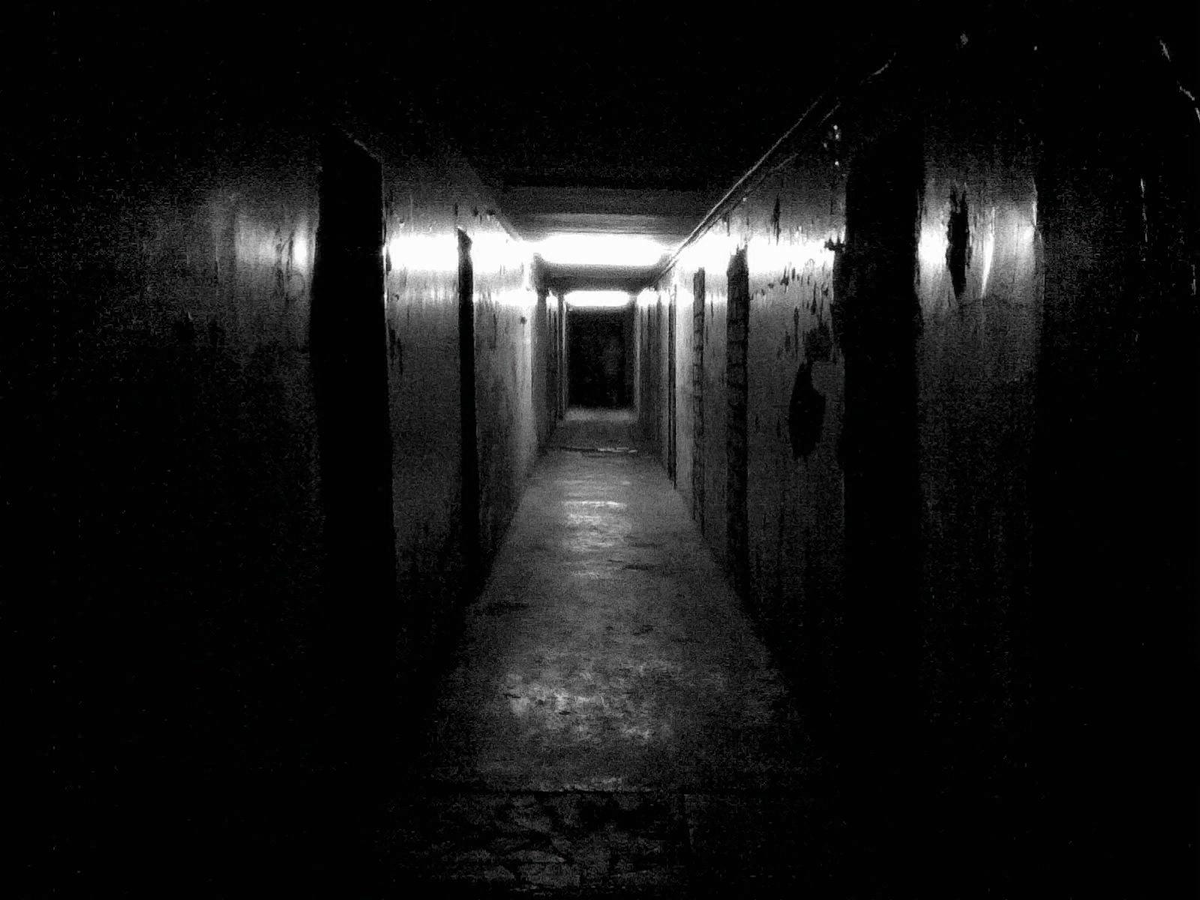 Фото из открытых источников: Яндекс.Картинки