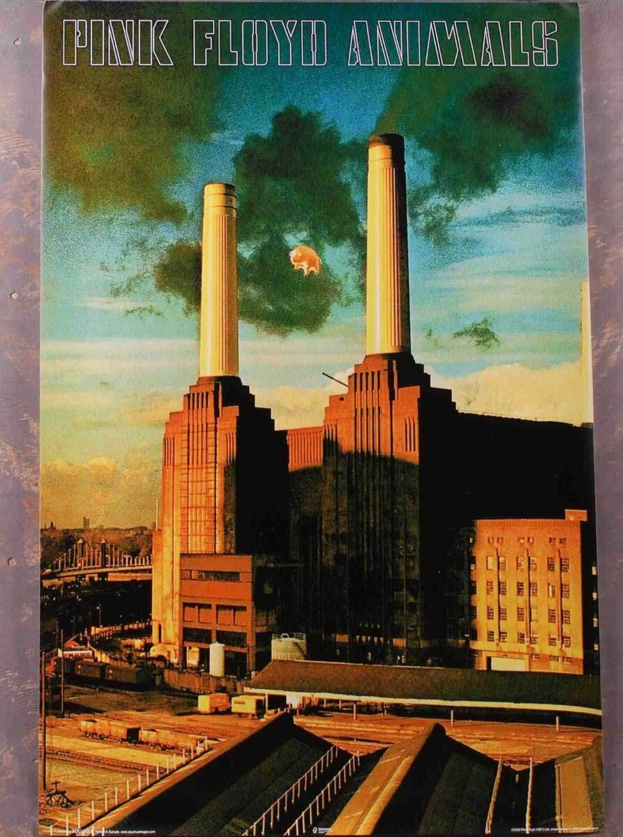 Фото из открытых источников Яндекс.  