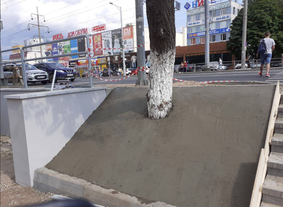 Странное дерево в Самаре