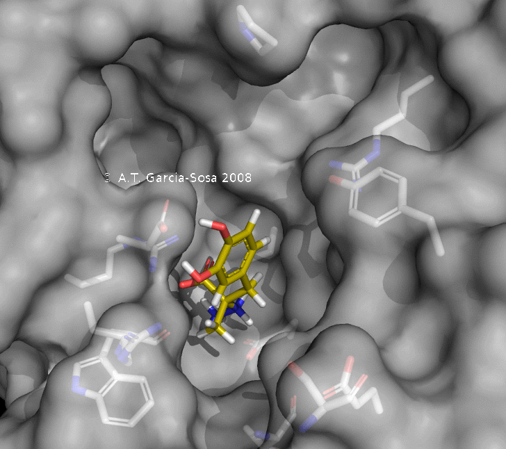    Моделирование ( симуляция) связывания биологически активного вещества с рецептором ( докинг). Картинка взята из открытых источников.