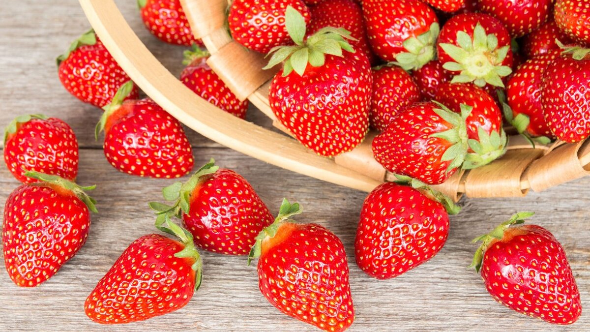 Изображение взято из открытого источника