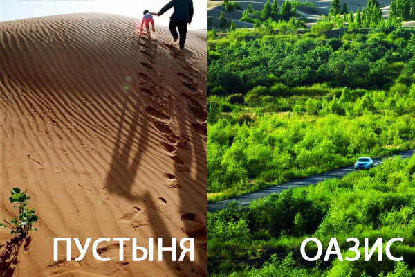 фото из открытого источника "Яндекс Картинки"