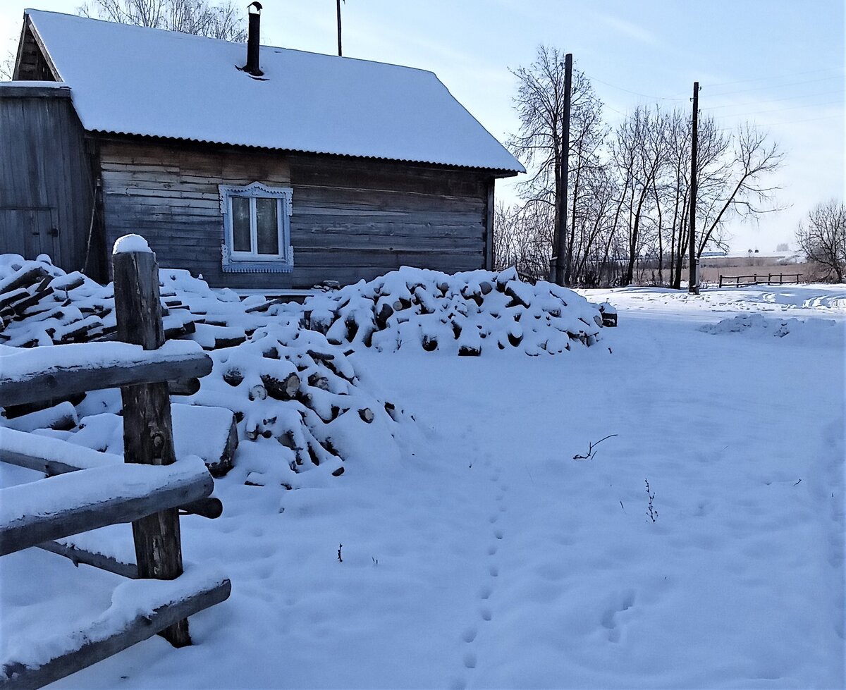 Зимнее утро. Фото автора канала.